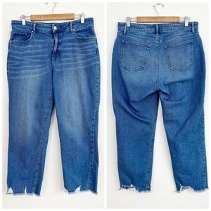 Loft Ann Taylor Curvy Blue Straight Frayed Hem Denim Jeans Size 12